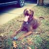 heather_corso